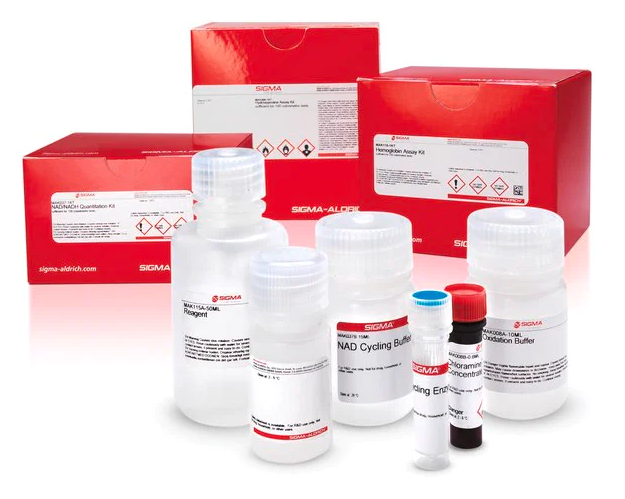 Amplite® Colorimetric L-Lactate Dehydrogenase (LDH) Assay Kit